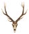 Weathered Deer Skull Wall Décor For Sale