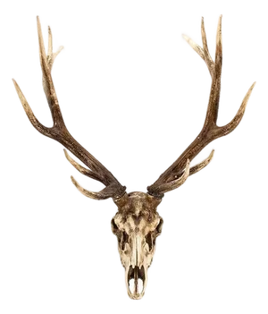 Weathered Deer Skull Wall Décor