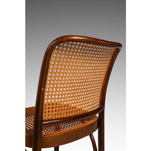 Single Patinaed Bentwood Prague Model 811 Side Chair by Josef Frank for Stendig W/ Original Cane Seat & Back, Poland, C. 1960s For Sale - Image 18 of 18