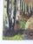 English Mid 20th Century Autumn Forest Lane Painting For Sale - Image 3 of 7