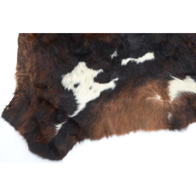 Brown & White Cowhide Rug 8'3" X 6' Chairish