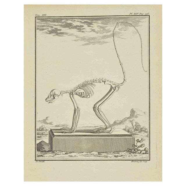 Herisset, The Skeleton, Etching, 1771 For Sale