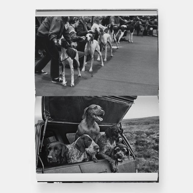 DogDogs Photography Book For Sale - Image 11 of 12