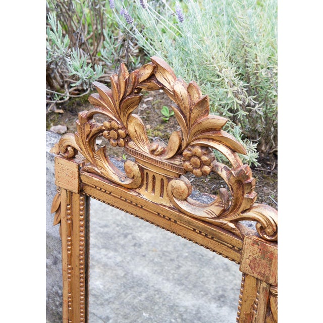 Vintage French Gilt Wood Mirror, 1940s, in Good conditions. Designed 1920 to 1949