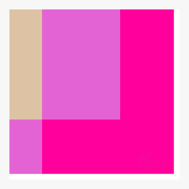 Not Yet Made - Made To Order Two Toned Interactions, Hot Pink Fine Art Print 36" X 36" by Liz Roache For Sale - Image 5 of 6