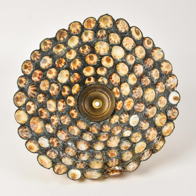 Early 20th Century Antique Cherub Table Lamp With Handmade Limpet Shell Lampshade in the Style of Richard Hoosin For Sale - Image 5 of 14
