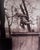 "The Work of Eugene Atget" Paris Photographs-First Edition-1982 For Sale - Image 9 of 12