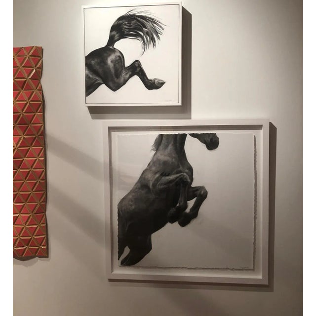 Paper Puissance, Horse Drawing, Charcoal and Graphite on Fabriano Paper, 2016 For Sale - Image 7 of 9
