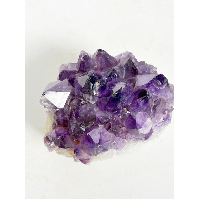 15th Century & Earlier 20th Century Press Paper in Amethyst, France For Sale - Image 5 of 9