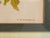 Realism A. Goossens 1890 Antique Botanical Color Lithograph Odonotoglossum Luteo Purpueum For Sale - Image 3 of 7