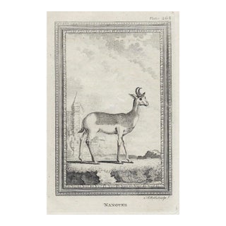 Antique Nanguer Deer Engraving For Sale