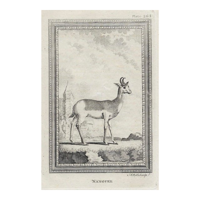Antique Nanguer Deer Engraving For Sale