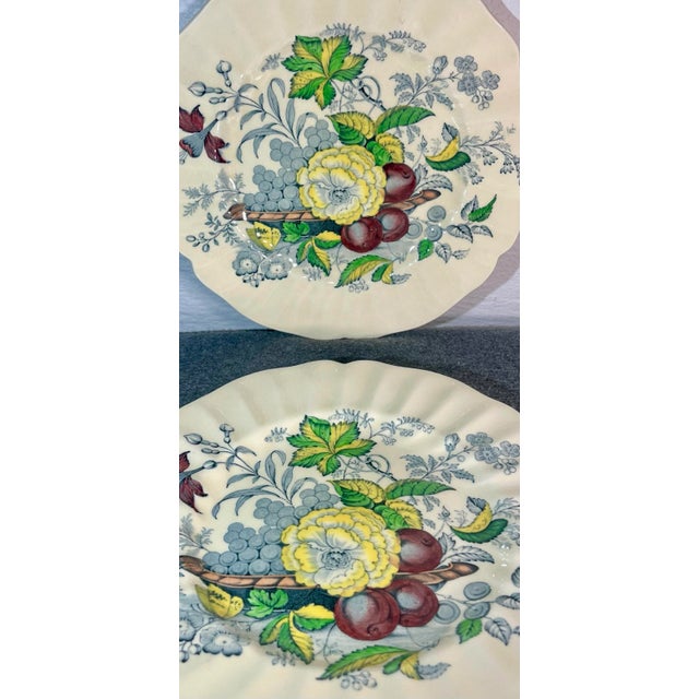 English Vintage Royal Doulton the Kirkwood Multicolor Dinner Plates- Set of 2 For Sale - Image 3 of 8