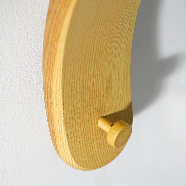 Spatola Wall Coat Hangers by De Paz, Durbino, Lomazzi for Fiarm, 1970s, Set of 2 For Sale - Image 11 of 14