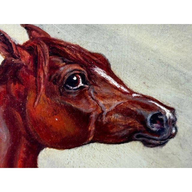Wood Circa Early 1900 English Victorian Oil Painting Purebred Red Chestnut Arab Horse in Bombay Stables I For Sale - Image 7 of 11