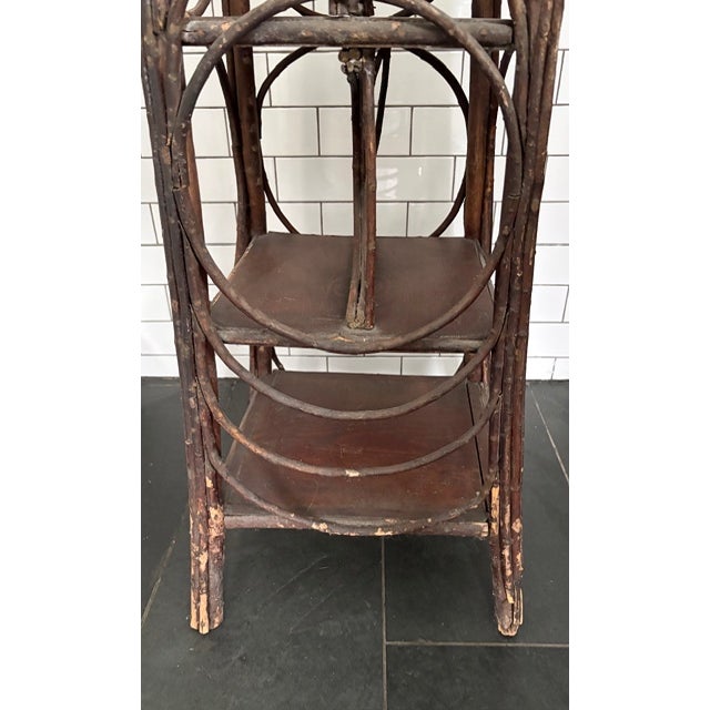 Mid 20th Century Rustic Adirondack Bentwood Twig and Branch Etager, Shelf - Folk Art For Sale - Image 5 of 8