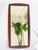 Vintage Modernist Scandinavian Danish Teak Wall Mirror, 1960s For Sale - Image 4 of 12