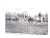 "Montpelier: The Recollections of Marion duPont Scott" 1976 Chamblin, Tony [Editor] For Sale - Image 4 of 11