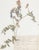 Black Custom Framed Vintage Finnish Herbarium Botanical Specimens - Set of Four For Sale - Image 8 of 18