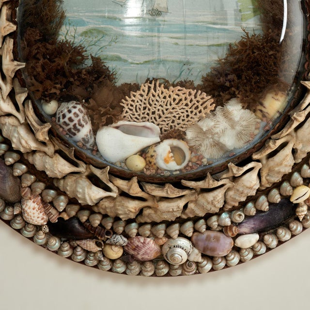 Antique British Colonial Sailors Valentine With Seashells For Sale - Image 4 of 8