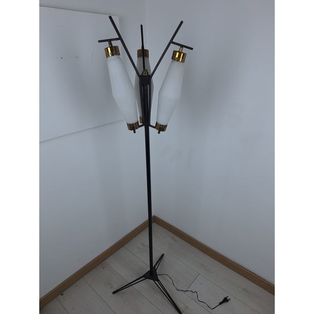 Metal Floor Lamp in Iron with Brass and Opal Glass, 1950s For Sale - Image 7 of 7