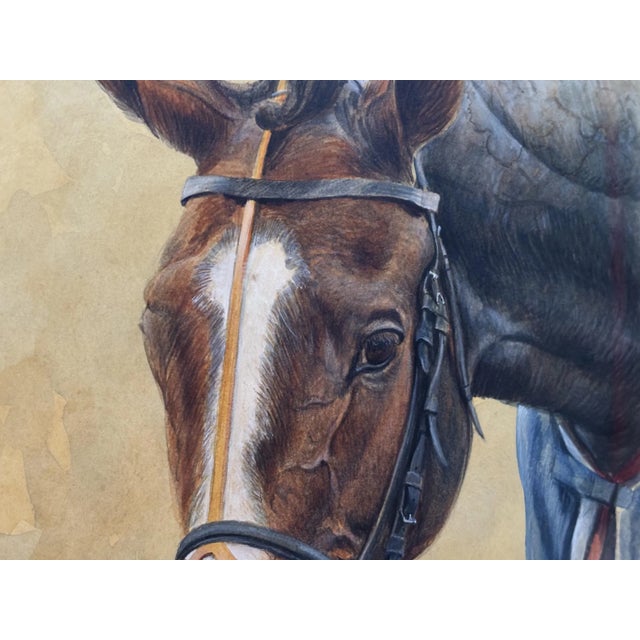 2000s "Napolitain" Vintage French Equestrian Watercolor Horse Painting by Martin Alford For Sale In Minneapolis - Image 6 of 11