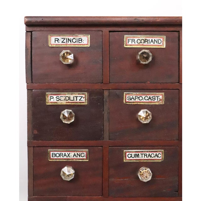 19th Century Tabletop Pharmacist's Apothecary Cabinet For Sale In New York - Image 6 of 13