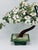 Vintage Hardstone Bonsai Sculpture For Sale - Image 9 of 9