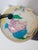 Plastic Illuminated Terrestrial Globe from Nova Rico, Italy, 1969 For Sale - Image 7 of 16