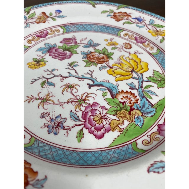 English English Cauldon Dinner Plate For Sale - Image 3 of 7
