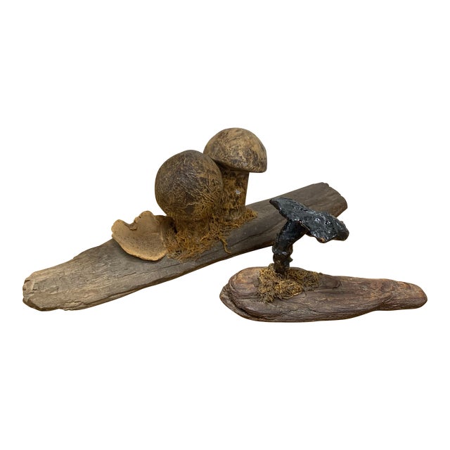 Pair of Late 19th Century French Folk Art Instructional Mushroom Specimens For Sale
