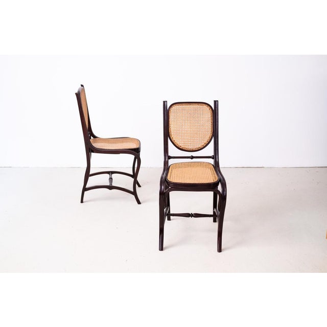 Set of Art Nouveau Dining Chairs from Jacob & Josef Kohn, 1890s For Sale - Image 14 of 15