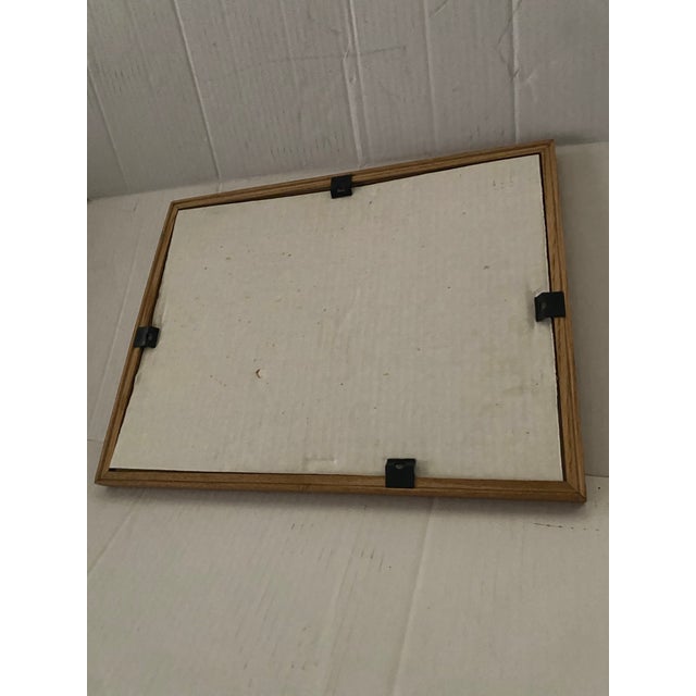 1960s Vintage Mid-Century Equestrian Art: Framed Portrait Attributed to Carol Hofmann Thompson, u.s. Equestrian Team For Sale - Image 5 of 10