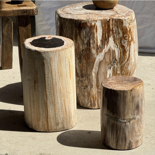 Brutalist Small Side Table in Beige-Grey and Petrified Wood, 1980s For Sale - Image 3 of 18