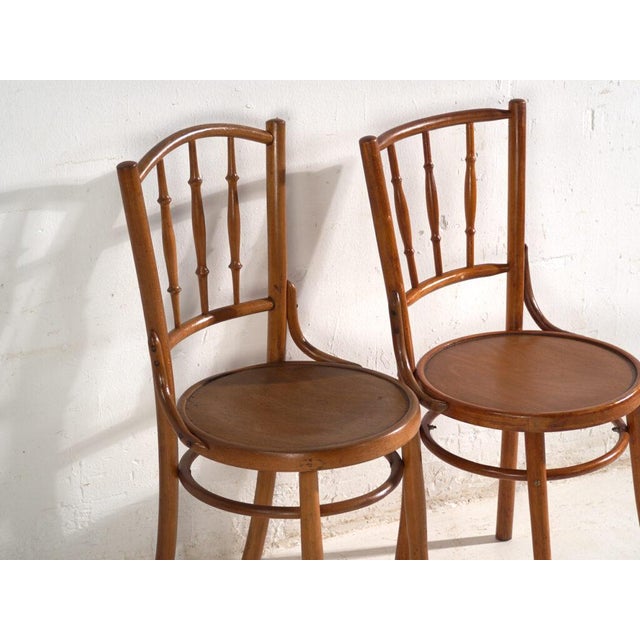 Bentwood Chairs in the style of Thonet, Central Europe, 1930, Set of 4 For Sale - Image 4 of 18
