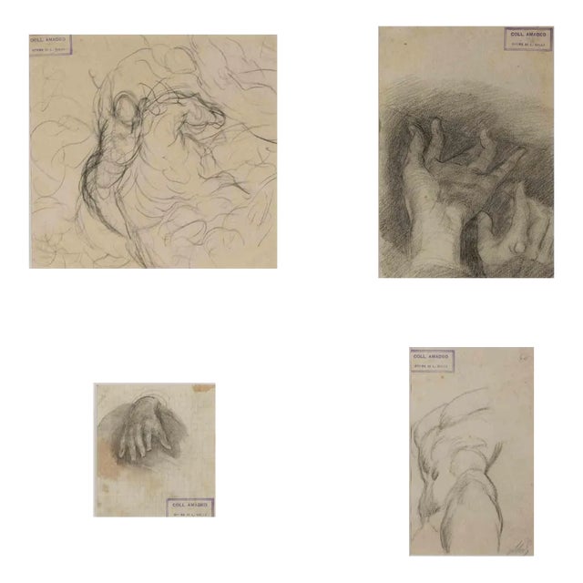 Luigi Galli, Anatomical Studies, Original Drawing, Late 19th-Century For Sale