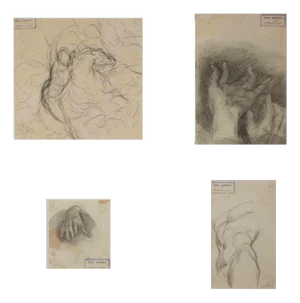 Luigi Galli, Anatomical Studies, Original Drawing, Late 19th-Century