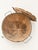 Early 20th-Century F. E. Prince Co. Texas Half-Bushel Wooden Produce Basket For Sale - Image 9 of 10