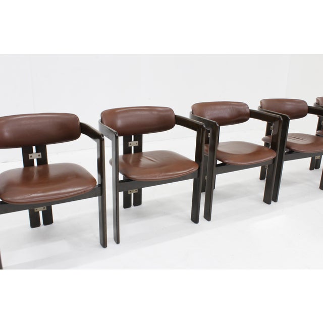 1960s Pamplona Dining Chairs by Augusto Savini for Pozzi, 1965, Set of 5 For Sale - Image 5 of 11