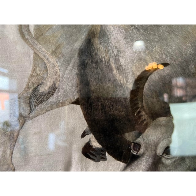 Vintage Silk Embroidery Cow - Framed Wall Art/ Sold For Sale - Image 9 of 11