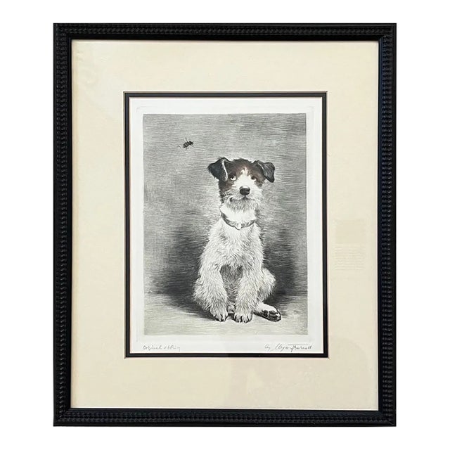 1960s Kurt Meyer-Eberhardt Signed Original Etching Jack Russell Framed For Sale