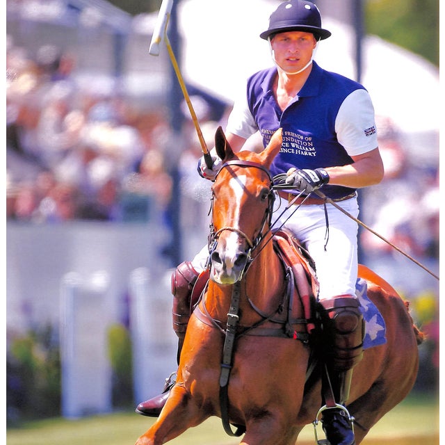 "Polo in Paradise: Celebrating the First Century of the Santa Barbara Polo Club" 2012 Fox, Steve For Sale - Image 11 of 17