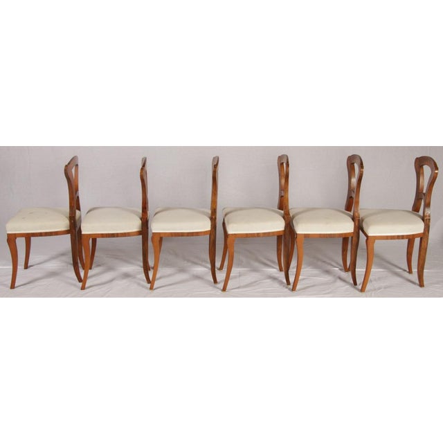 Antique Biedermeier Chairs, Vienna, Austria, 1820s-1830s, Set of 6 For Sale - Image 9 of 18