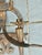 Metal Monumental Pair of Antique New Orleans Hand-Forged Gilt Iron Spanish Revival Candle Sconces For Sale - Image 7 of 10