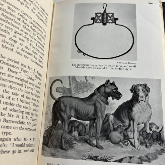Blue 1957 The Bull Mastiff Handbook Dog Book For Sale - Image 8 of 9