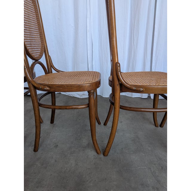 Mid-Century Bentwood Cane Dining Chair, Yugoslavia, 1970s, Set of 6 For Sale - Image 17 of 18