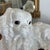 Antique French Faience Normandy Terracotta White Bavent Spaniel Dog For Sale In Providence - Image 6 of 11