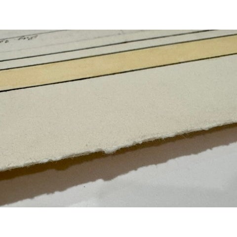 Lot of 3 Antique Italian Natural History Fish & Ray Engravings, Hand Colored, Matted For Sale - Image 14 of 14