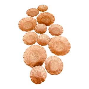 Vintage Collection of Lotus Poppytrail Metlox Plates, Made in California- Set of 12