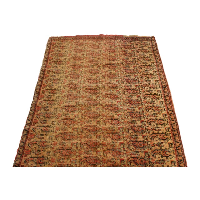 Originating from Persia between 1880-1900, this antique Senneh Persian rug is home to an inviting, repetition of...